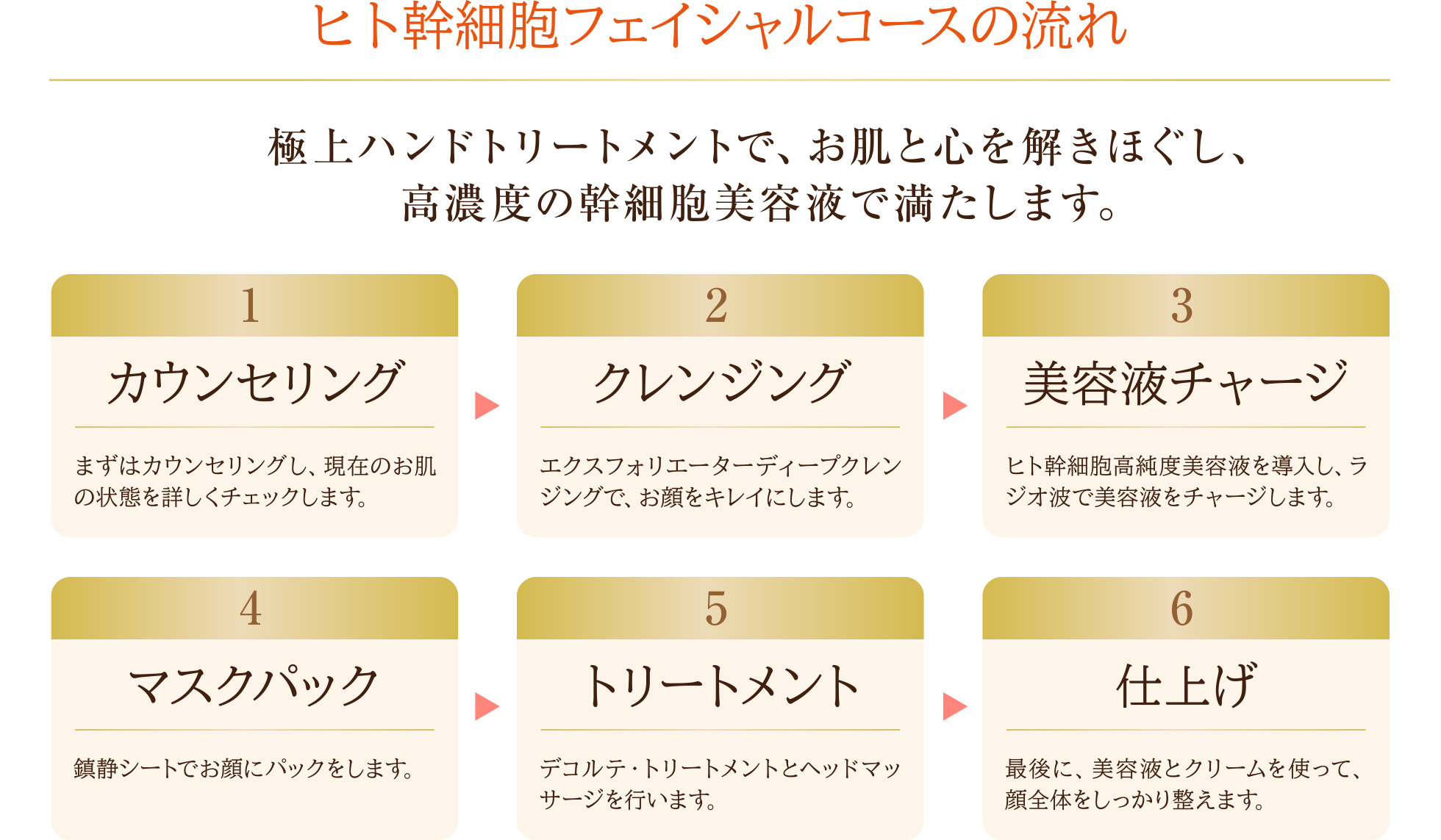 ヒト幹細胞フェイシャルコースの流れ